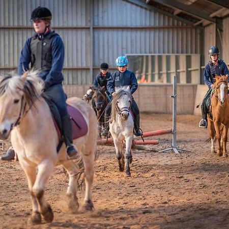 Garnwerd The Horse Farm Bed & Breakfast エクステリア 写真