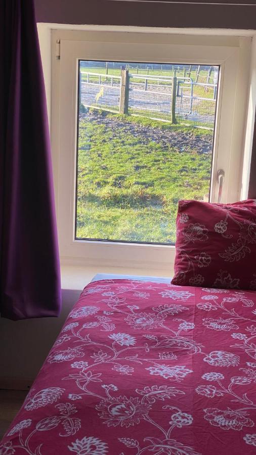 Garnwerd The Horse Farm Bed & Breakfast エクステリア 写真