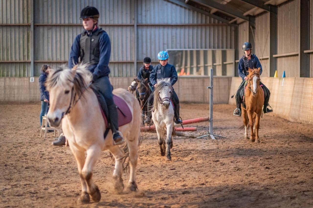 Garnwerd The Horse Farm Bed & Breakfast エクステリア 写真