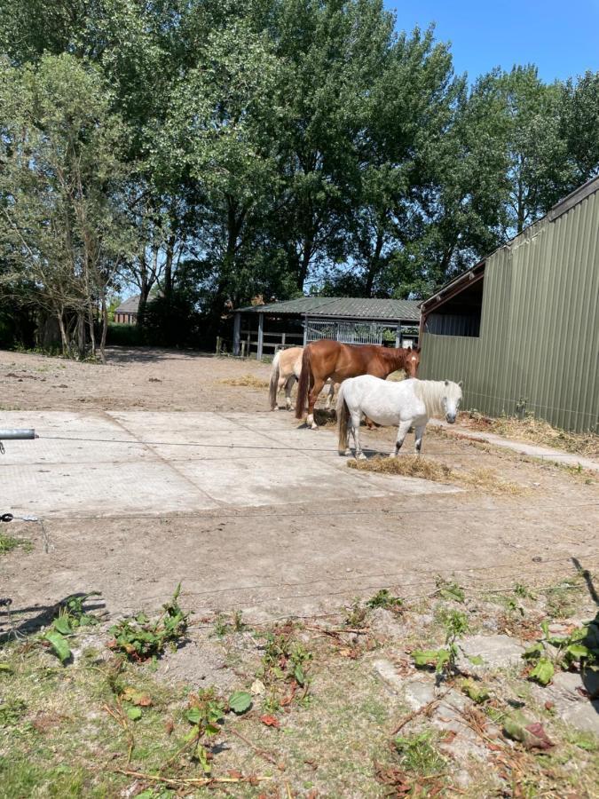 Garnwerd The Horse Farm Bed & Breakfast エクステリア 写真