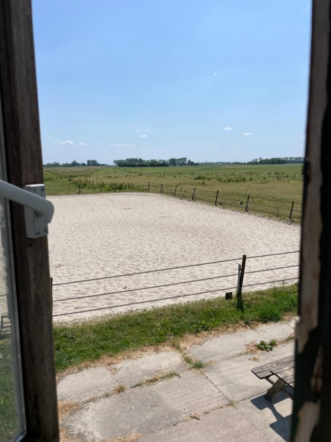 Garnwerd The Horse Farm Bed & Breakfast エクステリア 写真